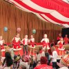 21.01.2018 - Kinderprinzenkürung [Galerie 2]