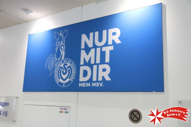 16.02.2019 - MSV