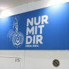 16.02.2019 - MSV